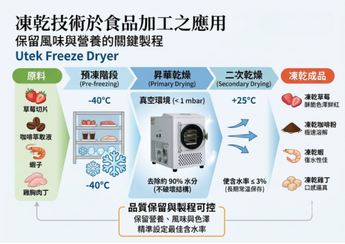 凍乾機食品加工應用：保留風味與營養的關鍵製程